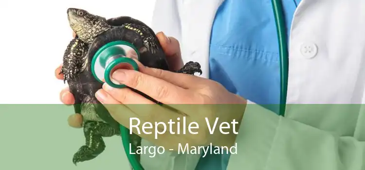 Reptile Vet Largo - Maryland