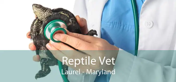 Reptile Vet Laurel - Maryland