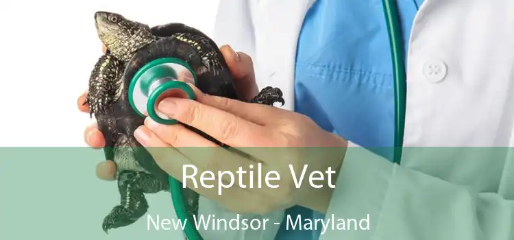 Reptile Vet New Windsor - Maryland