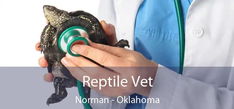 Reptile Vet Norman - Oklahoma