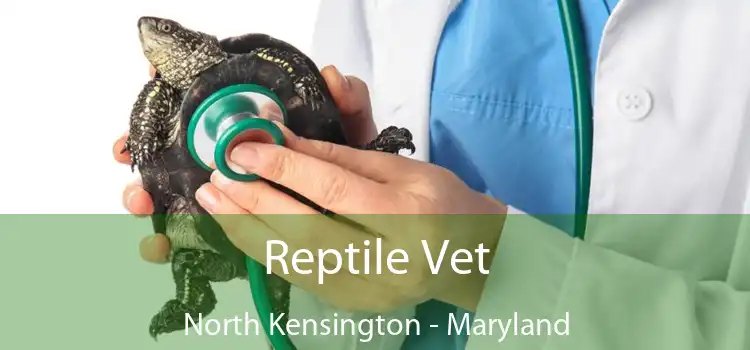 Reptile Vet North Kensington - Maryland