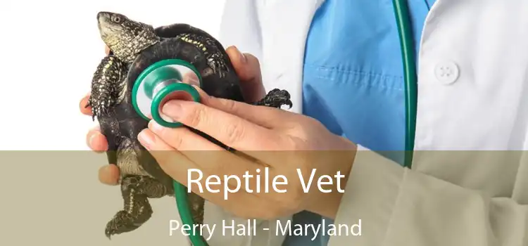 Reptile Vet Perry Hall - Maryland