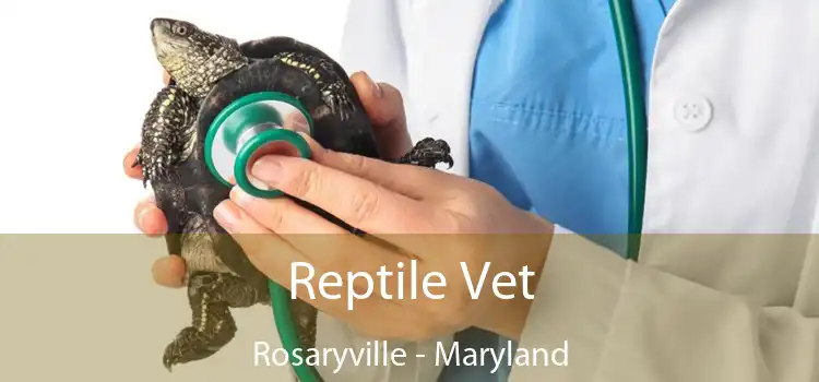 Reptile Vet Rosaryville - Maryland