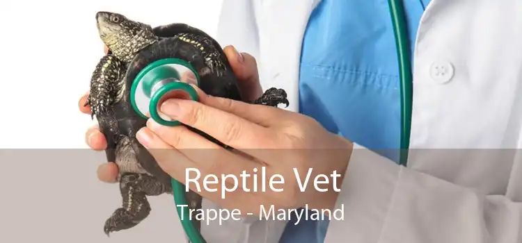 Reptile Vet Trappe - Maryland