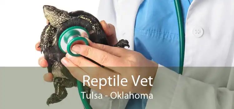 Reptile Vet Tulsa - Oklahoma