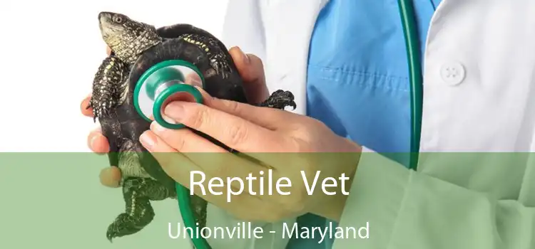 Reptile Vet Unionville - Maryland