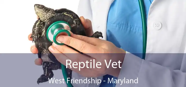 Reptile Vet West Friendship - Maryland