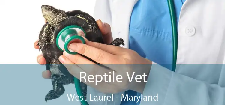 Reptile Vet West Laurel - Maryland