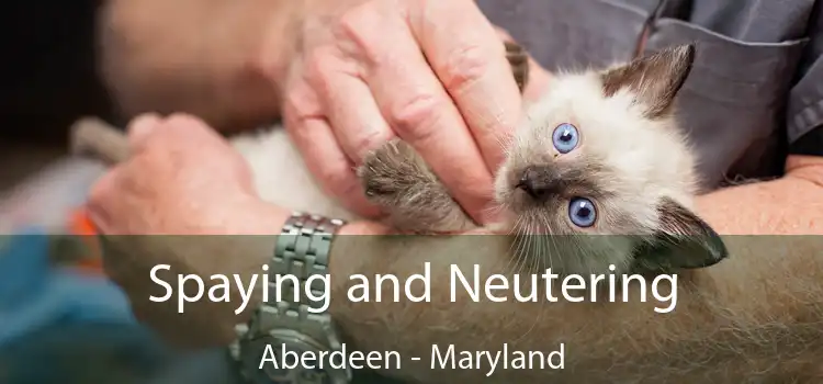 Spaying and Neutering Aberdeen - Maryland