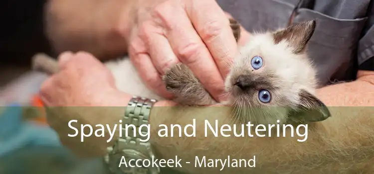 Spaying and Neutering Accokeek - Maryland