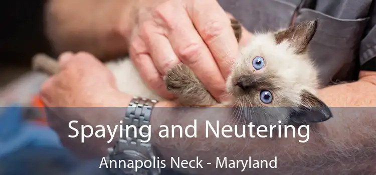 Spaying and Neutering Annapolis Neck - Maryland