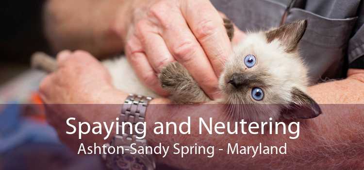 Spaying and Neutering Ashton-Sandy Spring - Maryland