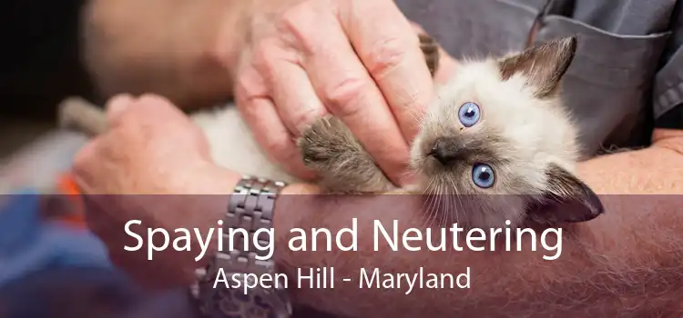 Spaying and Neutering Aspen Hill - Maryland