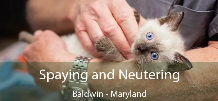 Spaying and Neutering Baldwin - Maryland