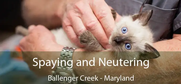 Spaying and Neutering Ballenger Creek - Maryland