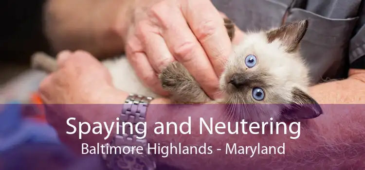 Spaying and Neutering Baltimore Highlands - Maryland
