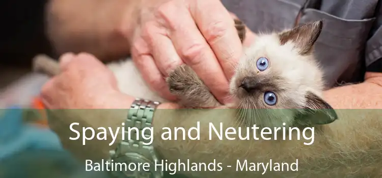 Spaying and Neutering Baltimore Highlands - Maryland