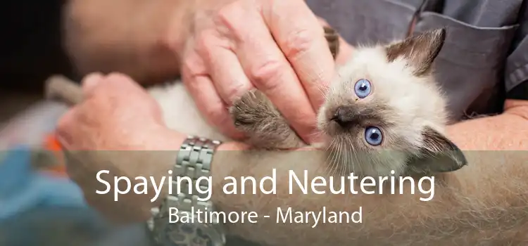 Spaying and Neutering Baltimore - Maryland
