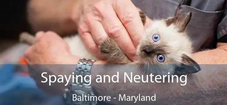 Spaying and Neutering Baltimore - Maryland