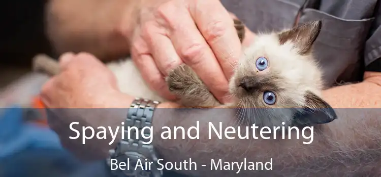 Spaying and Neutering Bel Air South - Maryland