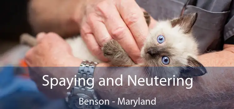 Spaying and Neutering Benson - Maryland