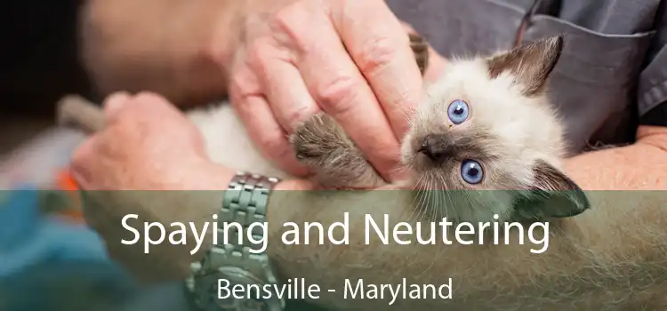 Spaying and Neutering Bensville - Maryland