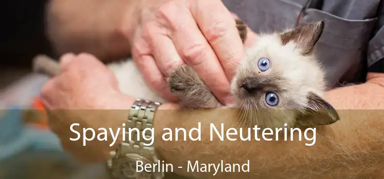 Spaying and Neutering Berlin - Maryland