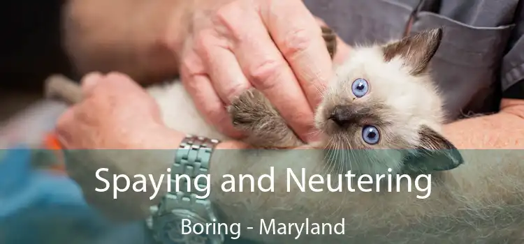 Spaying and Neutering Boring - Maryland