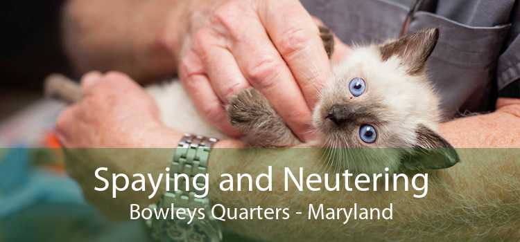 Spaying and Neutering Bowleys Quarters - Maryland
