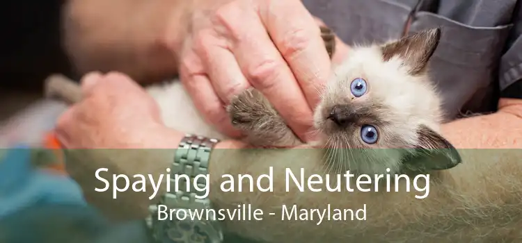 Spaying and Neutering Brownsville - Maryland
