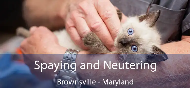 Spaying and Neutering Brownsville - Maryland