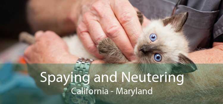 Spaying and Neutering California - Maryland