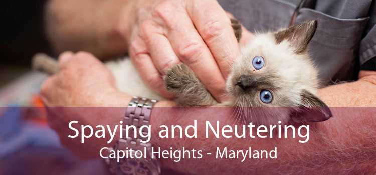 Spaying and Neutering Capitol Heights - Maryland