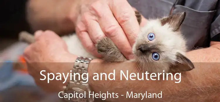 Spaying and Neutering Capitol Heights - Maryland