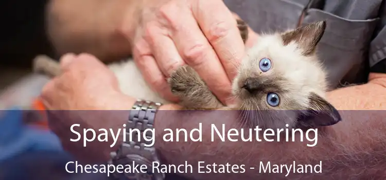 Spaying and Neutering Chesapeake Ranch Estates - Maryland