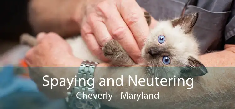 Spaying and Neutering Cheverly - Maryland
