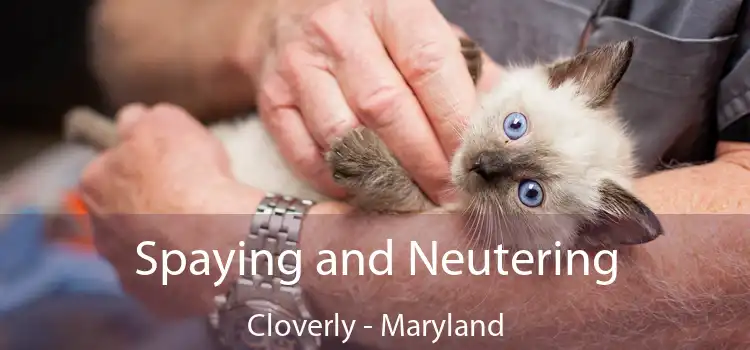 Spaying and Neutering Cloverly - Maryland