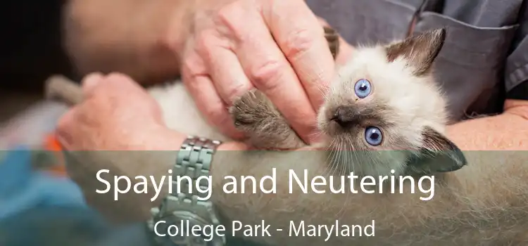 Spaying and Neutering College Park - Maryland