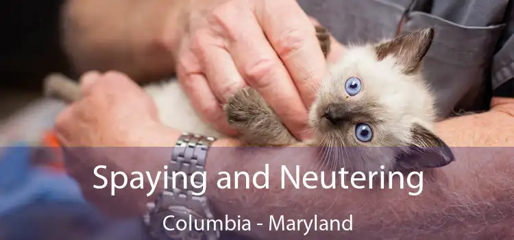 Spaying and Neutering Columbia - Maryland