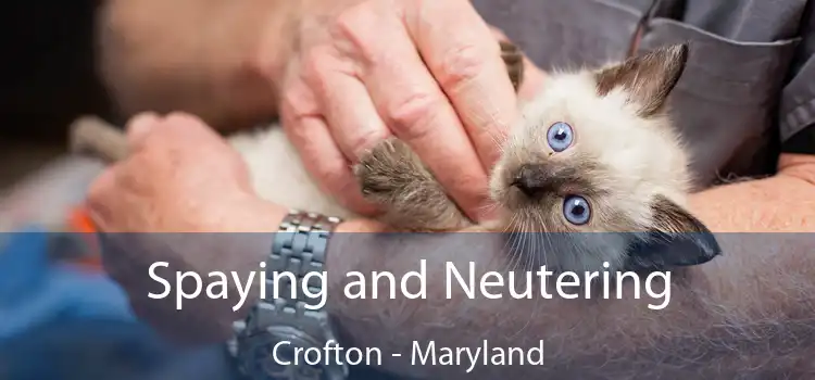 Spaying and Neutering Crofton - Maryland