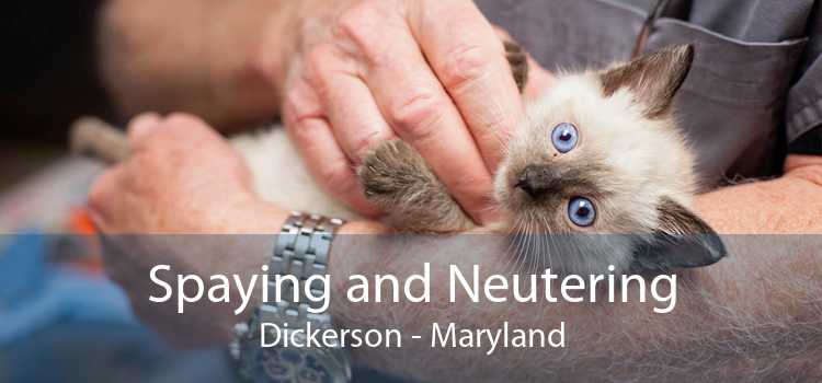 Spaying and Neutering Dickerson - Maryland