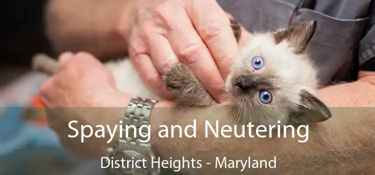 Spaying and Neutering District Heights - Maryland