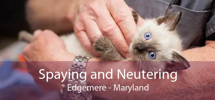 Spaying and Neutering Edgemere - Maryland
