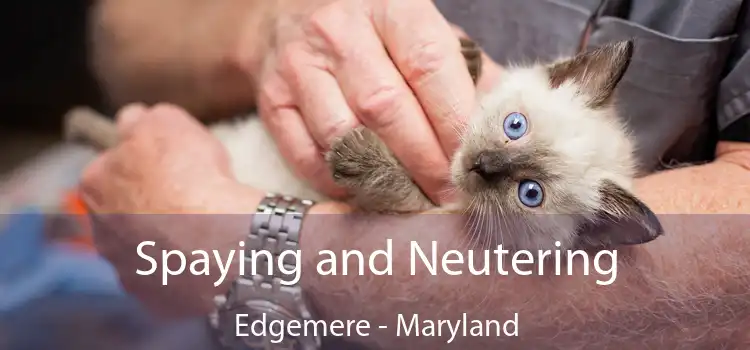 Spaying and Neutering Edgemere - Maryland