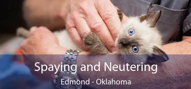 Spaying and Neutering Edmond - Oklahoma