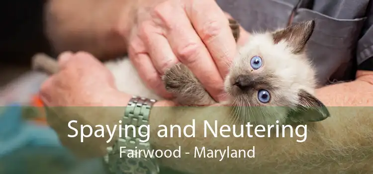 Spaying and Neutering Fairwood - Maryland