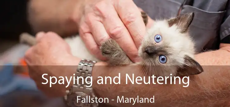 Spaying and Neutering Fallston - Maryland