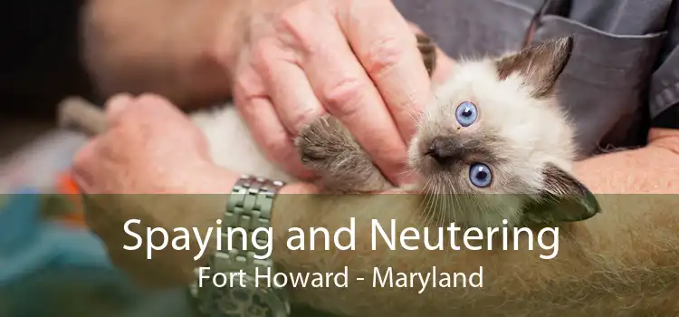 Spaying and Neutering Fort Howard - Maryland