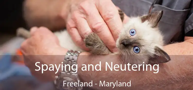 Spaying and Neutering Freeland - Maryland