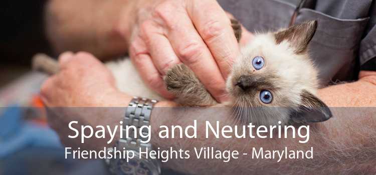 Spaying and Neutering Friendship Heights Village - Maryland